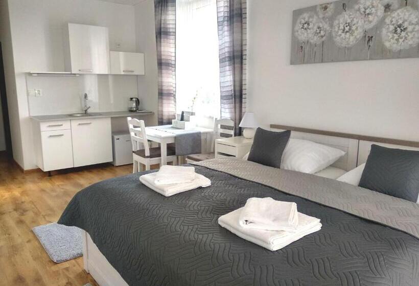 Номер Стандарт с Террасой, Penzion Wellness Chechluvka