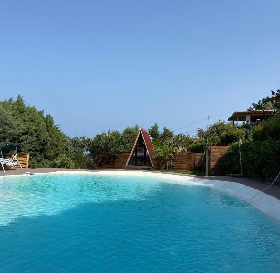 小室, B&b Belvedere