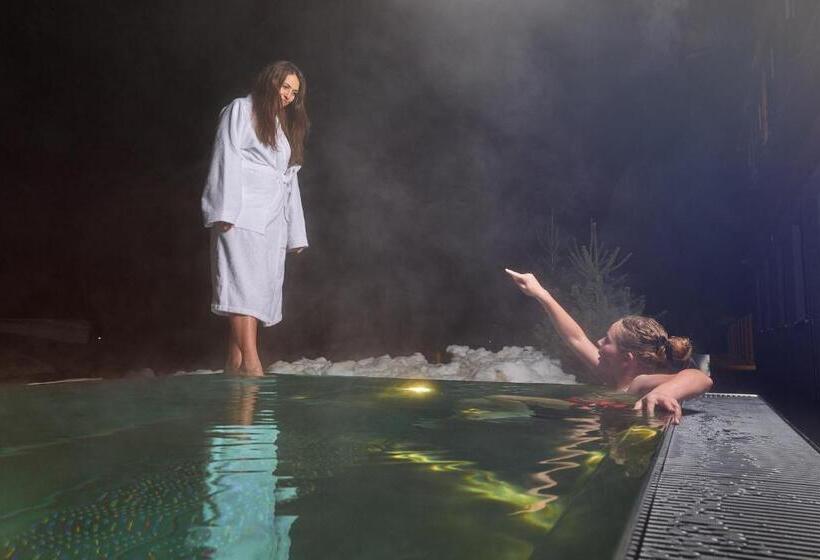 Шале Superior 1 Спальня, Berghaus Schröcken   Hotel Apartments Spa
