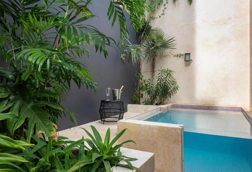Estudio Estándar, Ujo Condo Boutique