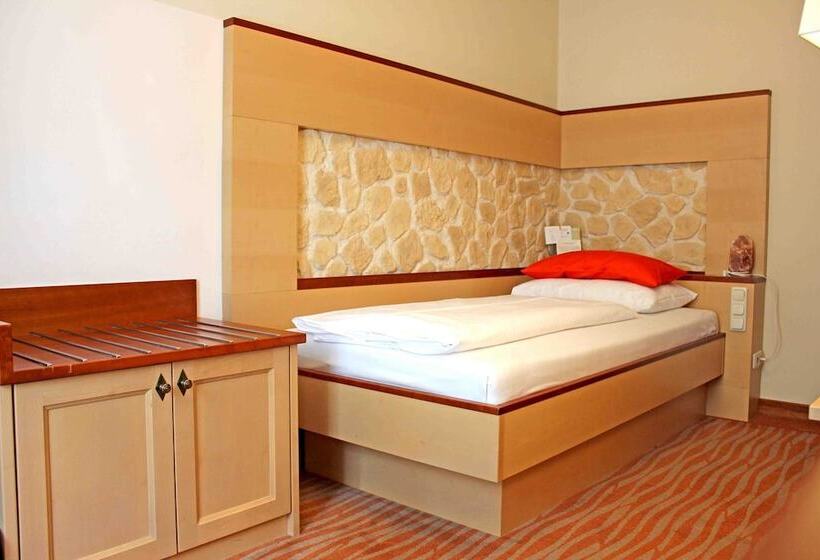Номер Economy Индивидуальный, Garten Hotel Ochensberger
