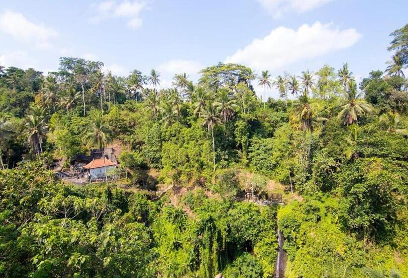 Люкс Superior, Villa Cella Bella Ubud