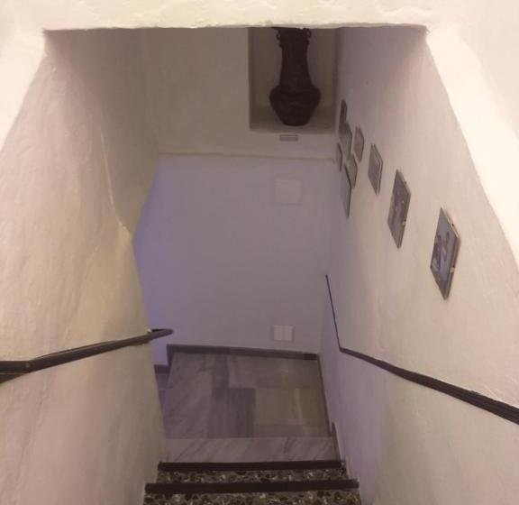 单人经济间, Casa Alice Salar