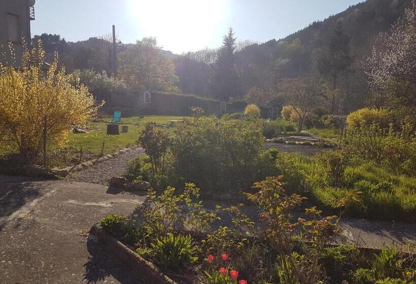 Студия Стандарт, Domaine Sela