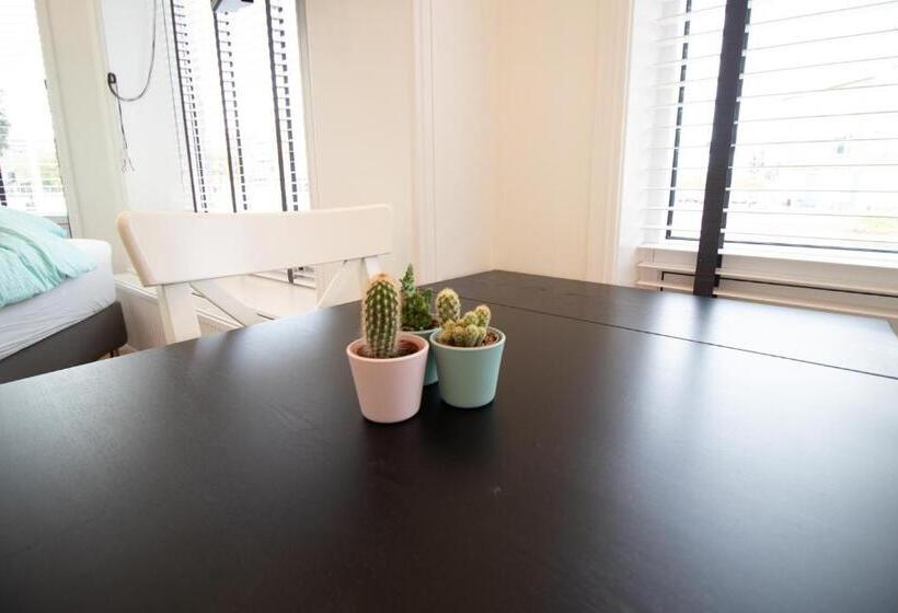 استودیو استاندارد با تخت کینگ, Escamp Apartments