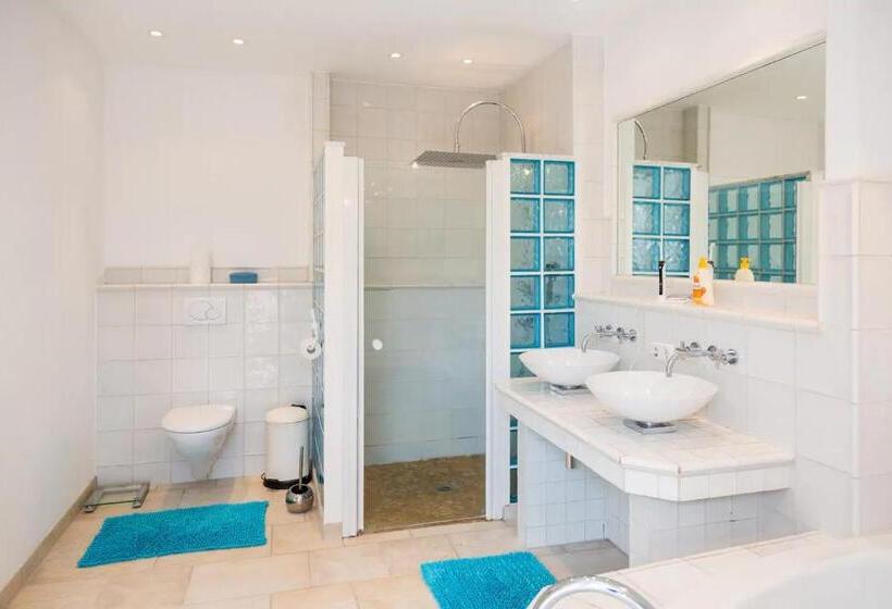 Номер Стандарт, Schönste Lage Am Rhein In Unmittelbarer Stadtnähe, B & B