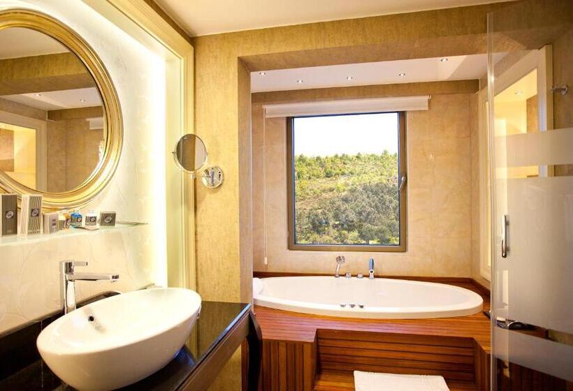 غرفة قياسية, Limak Eurasia Luxury