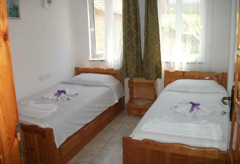 Апартаменты 1 Спальня, Tavilogullari Villa Apart