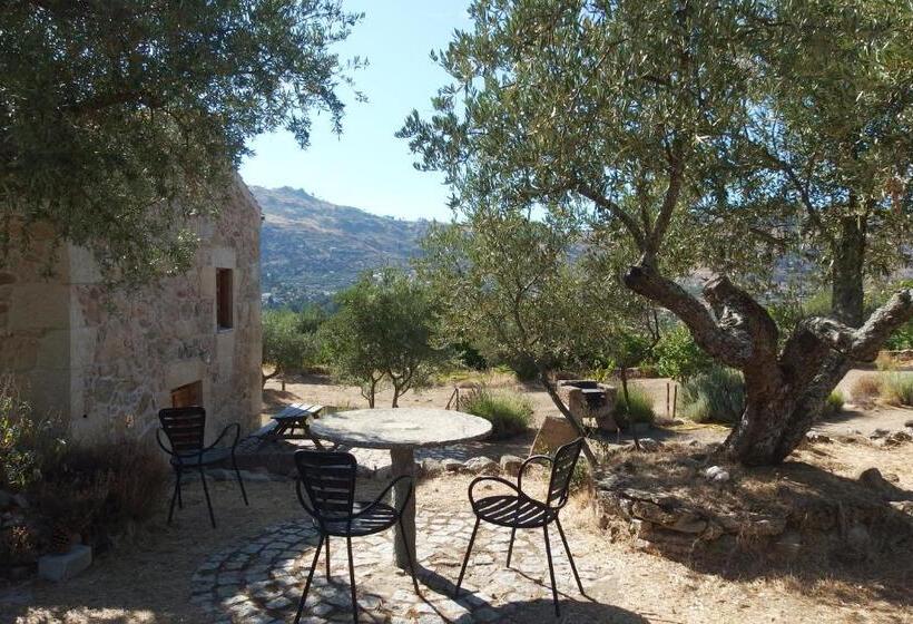 خانه 3 خوابه, Casa Da Carriça   Serra Da Estrela
