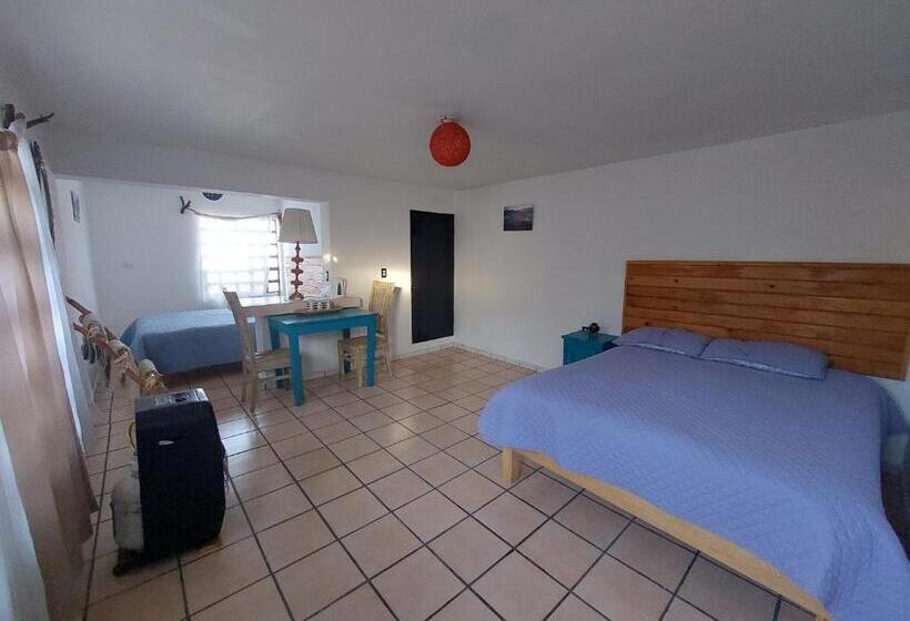 Standard Værelse, Casa Nopal Tu Casa Vacacional Tipo