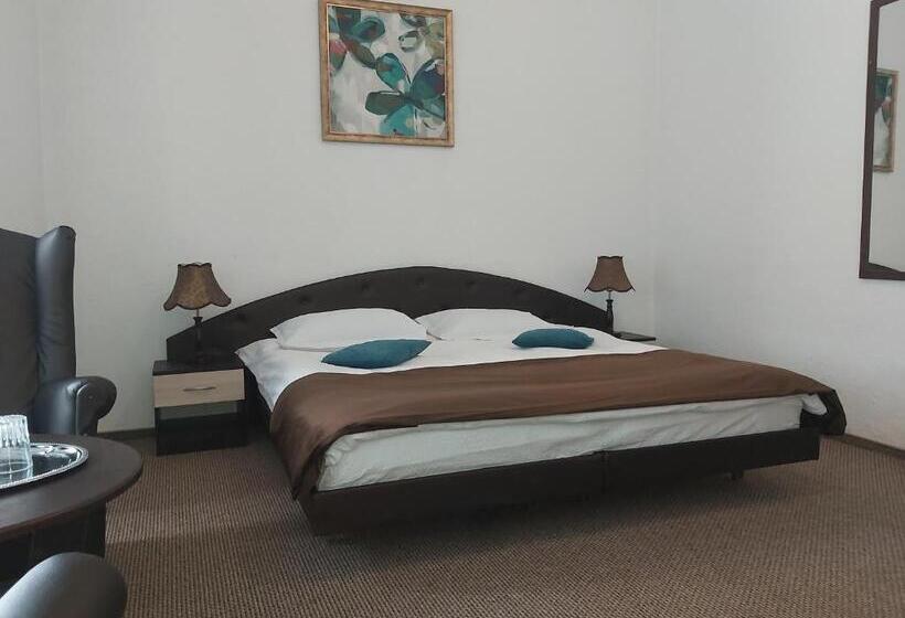 חדר משפחתי נוף לגינה, Vila Micul Castel