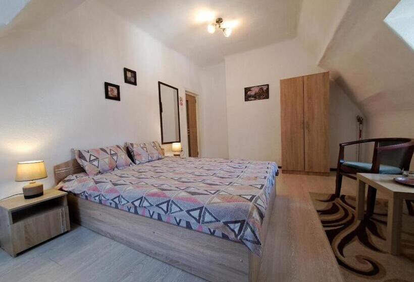 חדר אקונומי, Vila Micul Castel