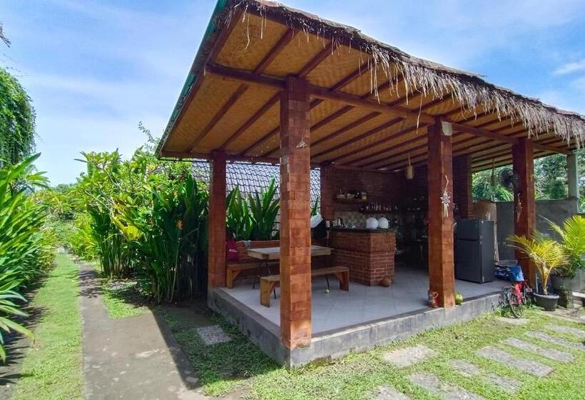 بانگلوی استاندارد, Morning Bali Bungalow