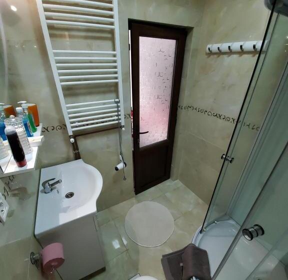 سوییت خانوادگی, Pensiunea Mihaita