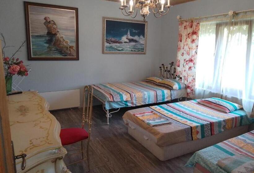 اتاق لوکس, Guest House Amazonia