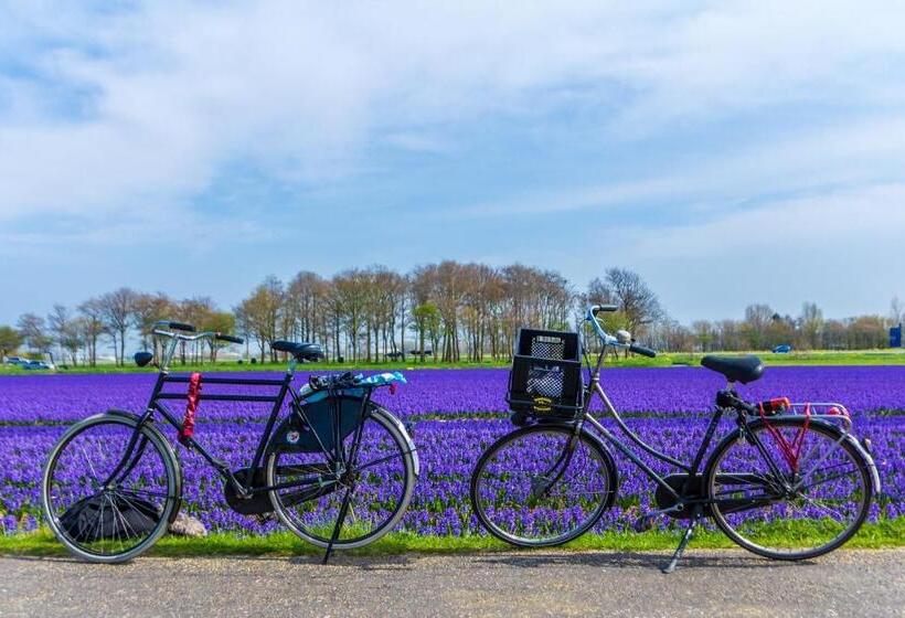 발코니 디럭스 룸, Slapen Bij De Buurvrouw