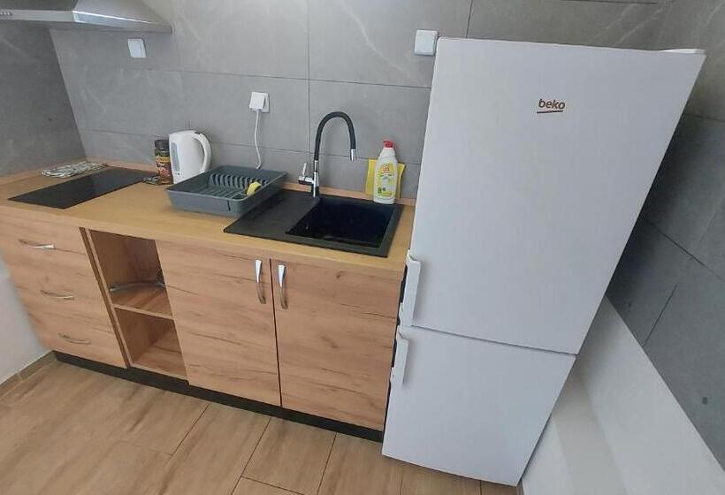 带1个卧室的高级公寓, Apartmány Podlavice