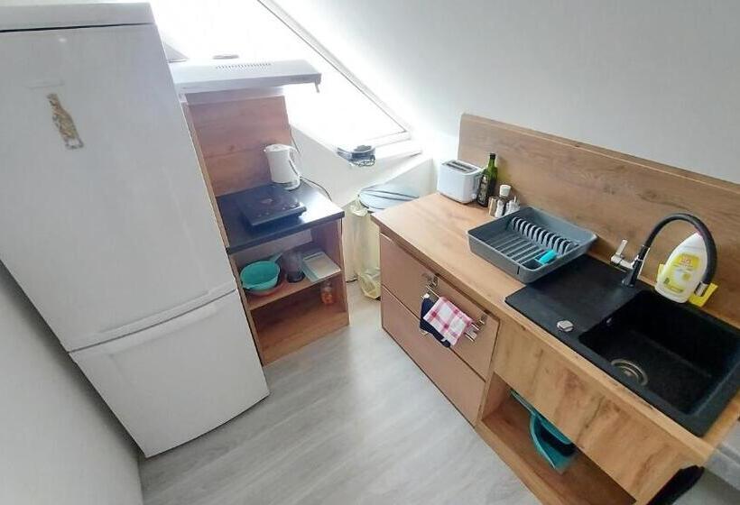 带共用浴室的标准房间, Apartmány Podlavice