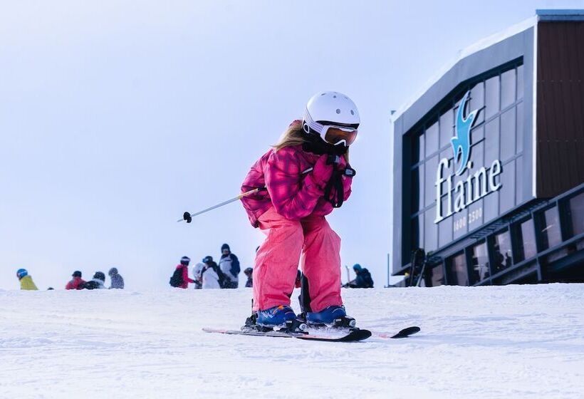 Апартаменты 2 Спальни, Dormio Resort Les Portes Du Grand Massif
