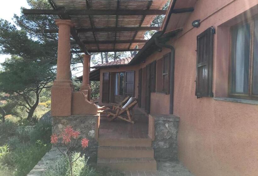 Номер Стандарт, Casa Diana