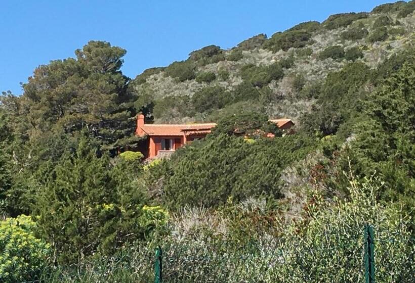 Номер Стандарт, Casa Diana