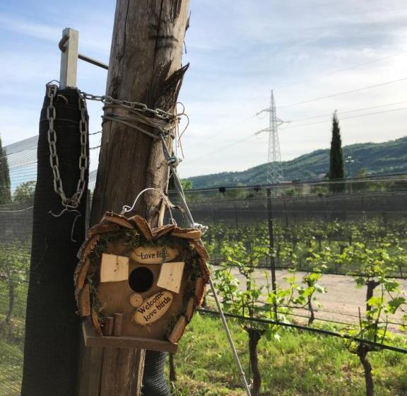 اتاق استاندارد با چشم‌انداز استخر, Maso Maroni Agriturismo