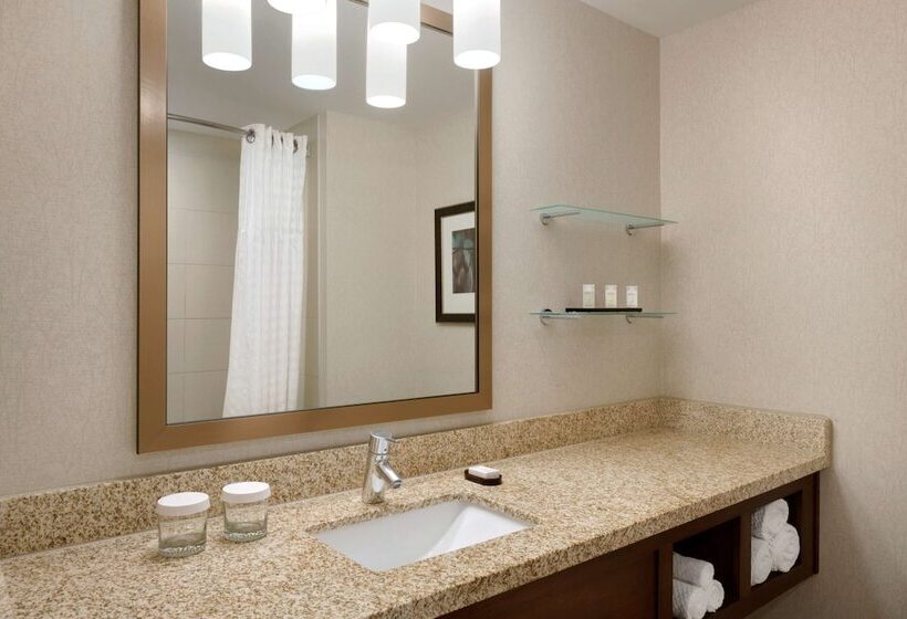 סוויטה נוף להרים, Embassy Suites By Hilton Denver Downtown Convention Center