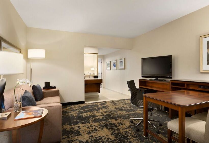 סוויטה מותאמת לאדם עם מוגבלויות, Embassy Suites By Hilton Denver Downtown Convention Center