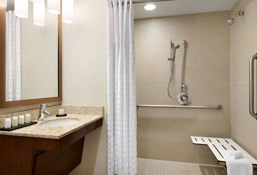 סוויטה מותאמת לאדם עם מוגבלויות, Embassy Suites By Hilton Denver Downtown Convention Center