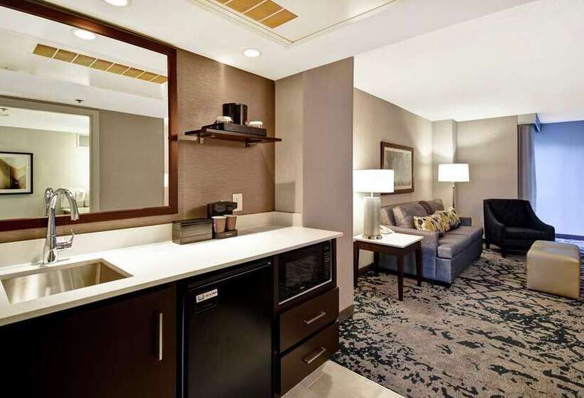 סוויטה, Embassy Suites By Hilton Denver Downtown Convention Center