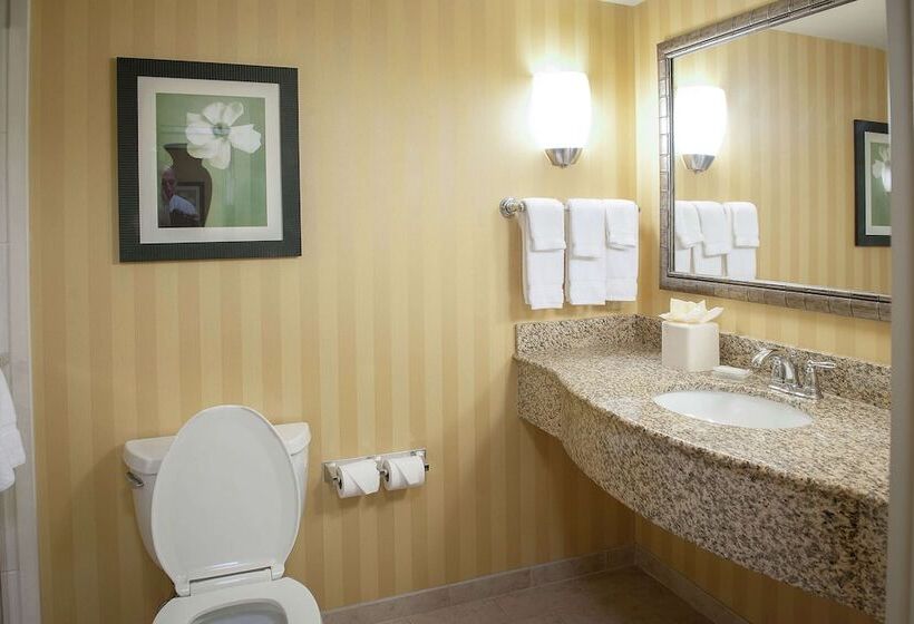 Номер Стандарт, Hilton Garden Inn Pensacola Airport Medical Center
