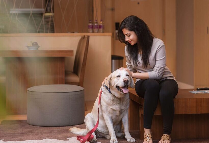 带1个卧室的公寓, Hyatt Regency Pune Hotel & Residences