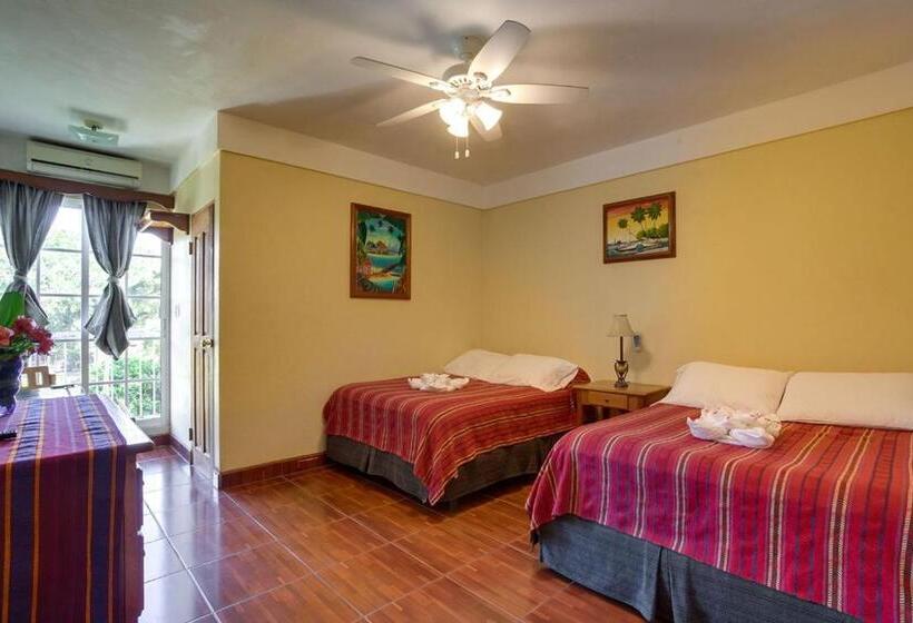 스탠다드 룸, Midas Belize
