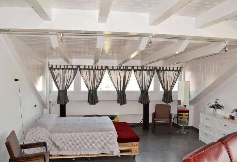 استودیو استاندارد با تراس, Walter