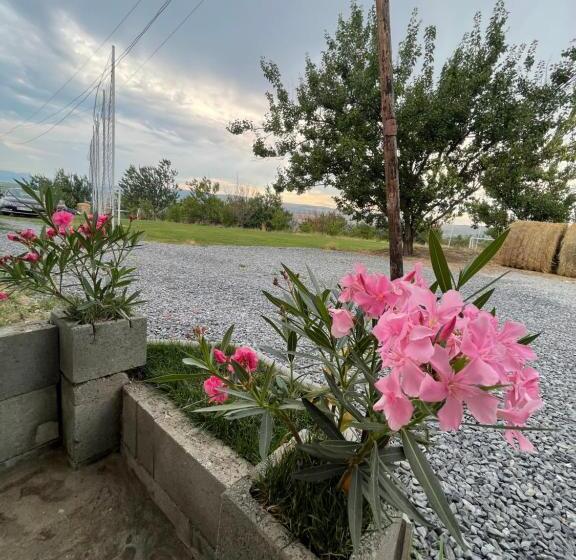 디럭스 스튜디오, Wineyards Salin