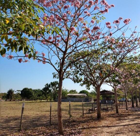 一居室高级别墅, Chalé Quintal Amazon