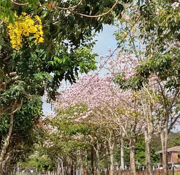 一居室高级别墅, Chalé Quintal Amazon