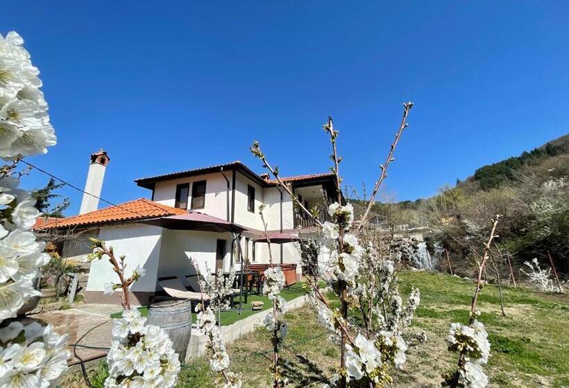 Дом 4 Спальни, Kassandrova Guest House & Spa