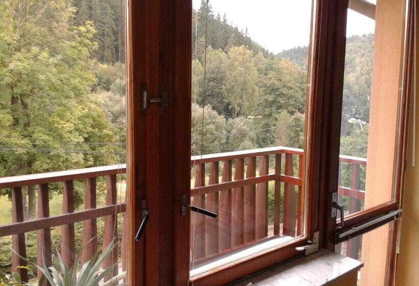 Номер Стандарт с Балконом, Penzion Havaj