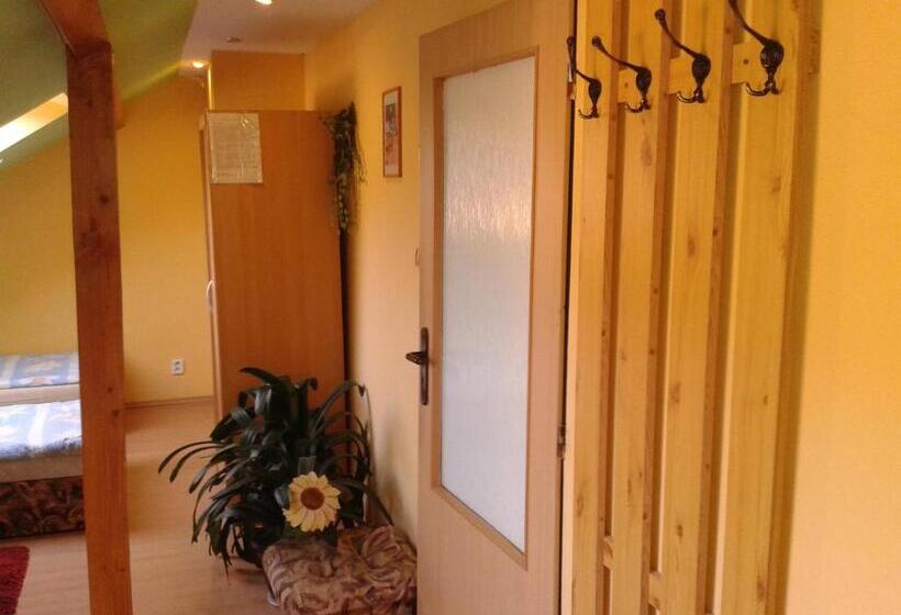 Трехместный Номер Стандарт Совместная Ванная, Penzion Havaj