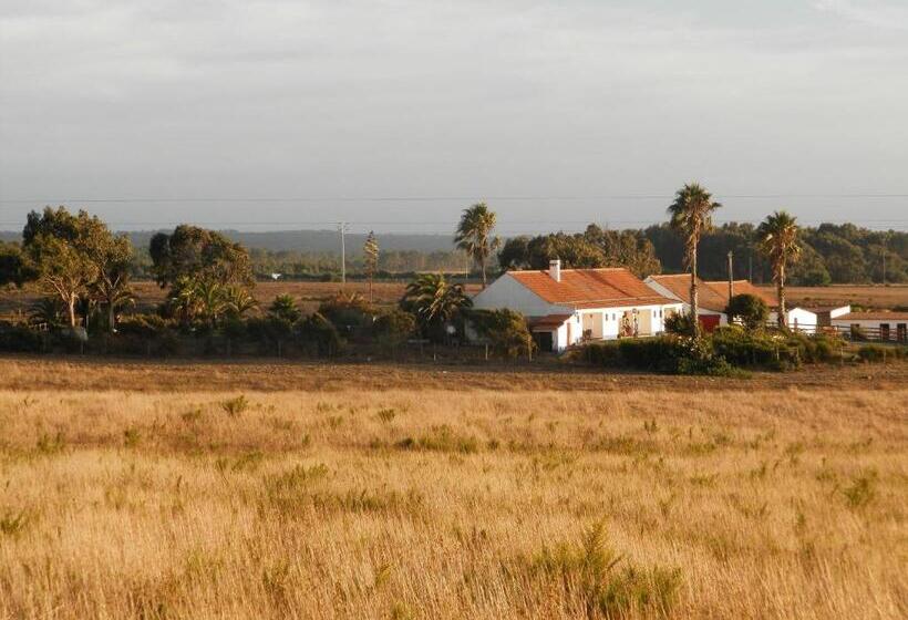 带海景的标准房, Herdade Do Pessegueiro