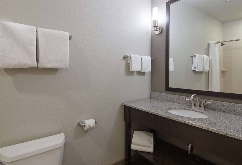 סוויטה מותאמת לאדם עם מוגבלויות, Best Western Plus Austin Airport Inn & Suites