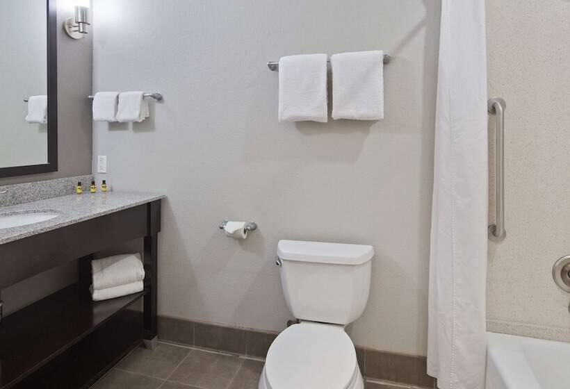 身障者適用スイートルーム, Best Western Plus Austin Airport Inn & Suites