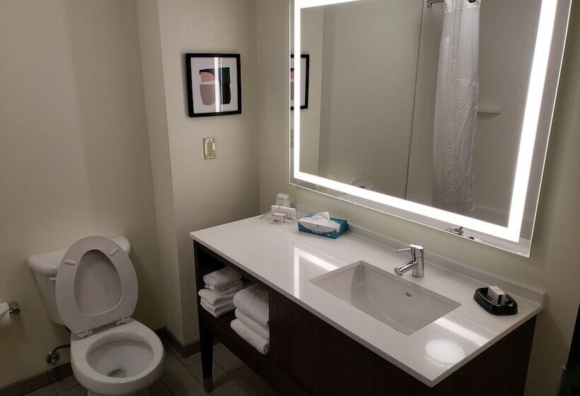 Номер Стандарт, Holiday Inn Hotel & Suites Tulsa South, An Ihg