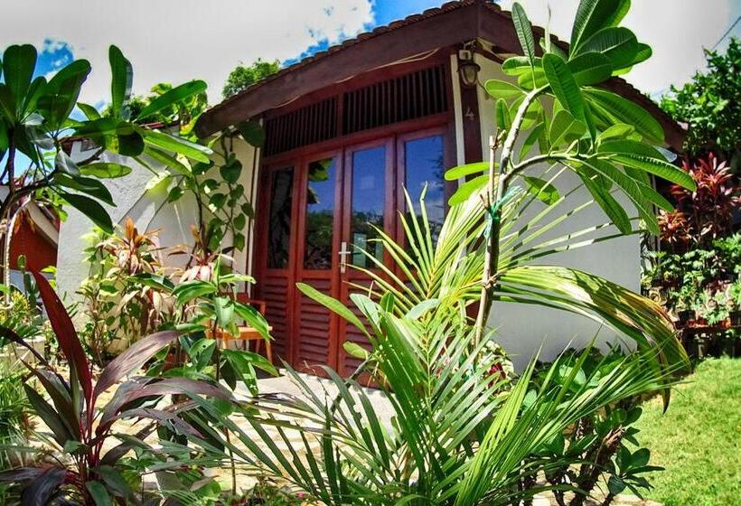 Бунгало Deluxe, Ayu Hotel Karimunjawa