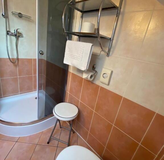 Номер Стандарт, Penzión Vila Petra Bed&breakfast