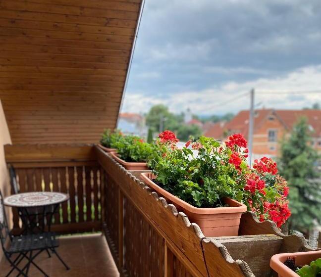 Номер Стандарт Вид на Горы, Penzión Vila Petra Bed&breakfast