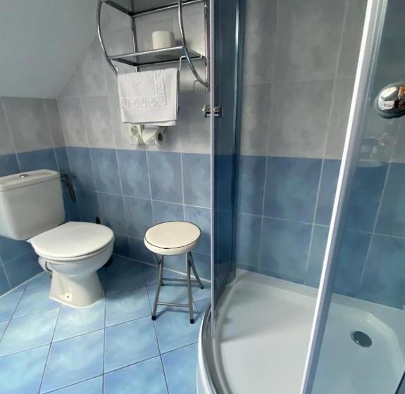 Номер Стандарт Вид на Горы, Penzión Vila Petra Bed&breakfast