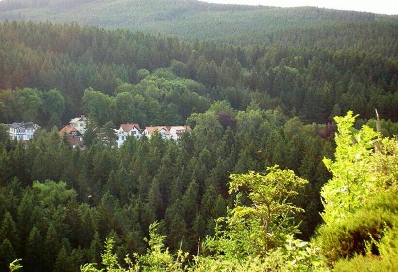 Номер Комфорт, Pension Waldesblick
