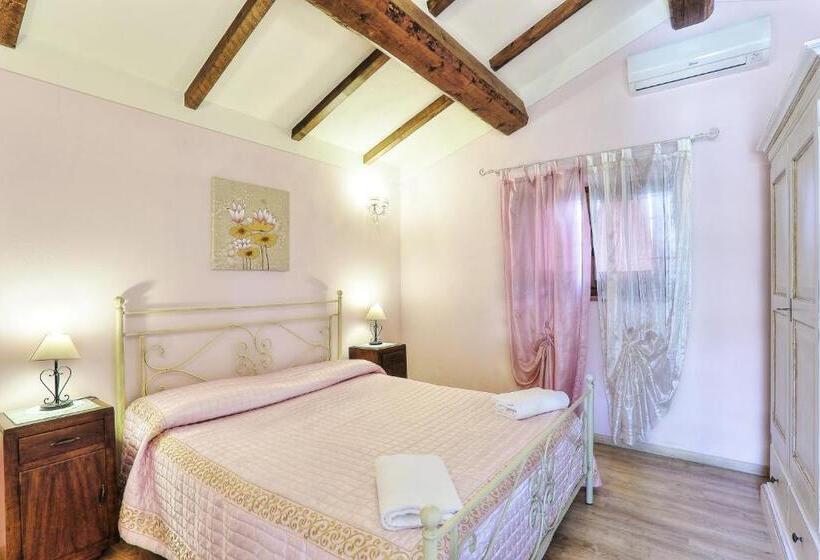 آپارتمان 1 خوابه, Terra Di Cortona